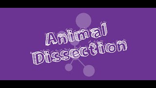 Animal Dissection - Llama screenshot 2