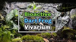 Bioactive Dart Frog Enclosure Setup!!! | Nano Vivarium Challenge