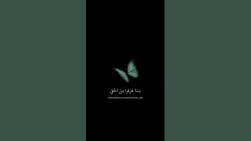 الشيخ سعود الشريمما تيسر من سورة المائدة