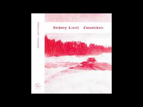 Anthony Linell - Consolidate [NE45] (Full Album)