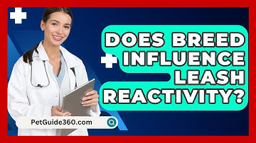 Does Breed Influence Leash Reactivity? - PetGuide360.com
