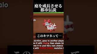 庭を成長させるの新しいペットに関する都市伝説…? #ロブロックス #roblox #庭を成長させる #growagarden #ブロックスフルーツ screenshot 4