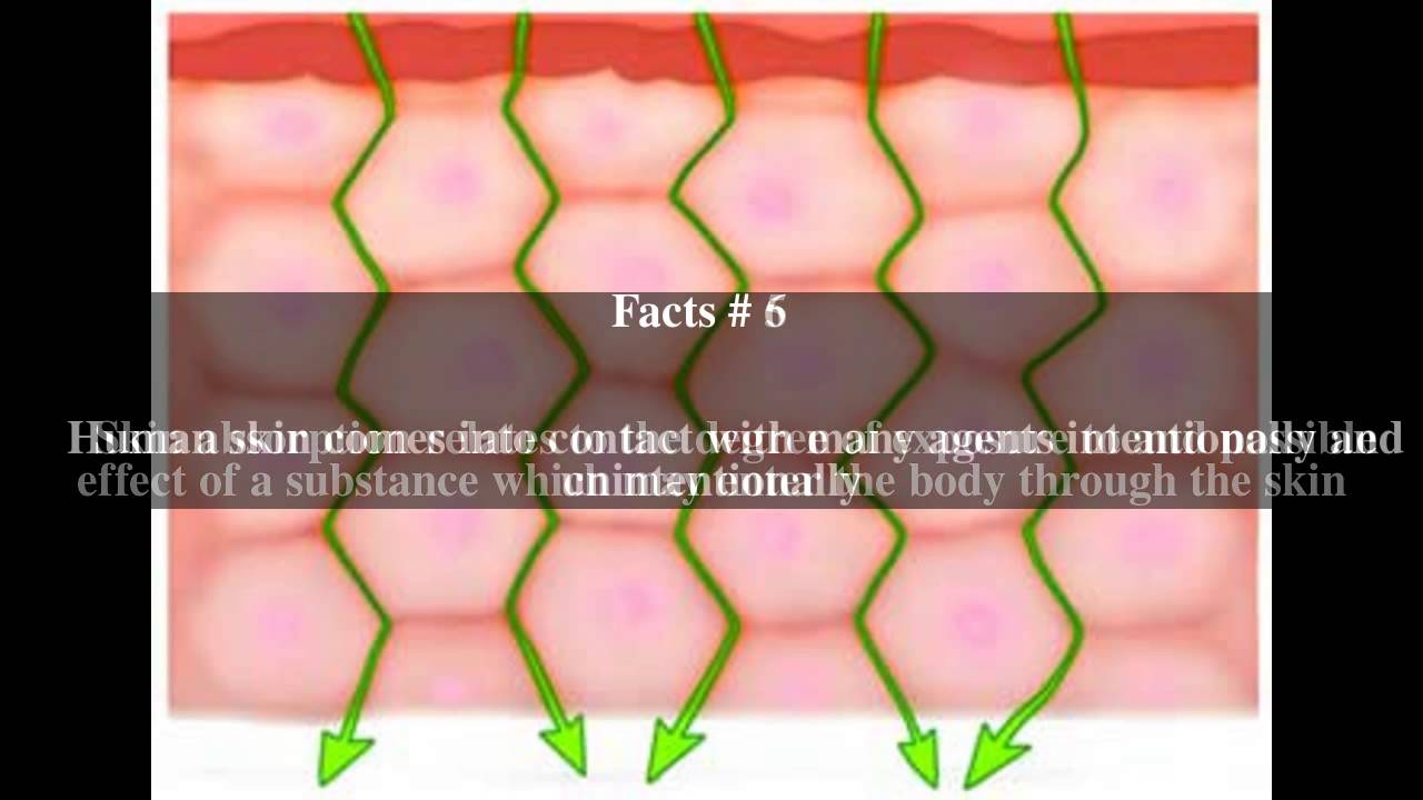 Absorption (skin) Top 9 Facts YouTube