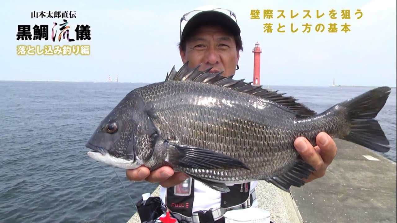 Black porgy style drop fishing [Basics of drop fishing to