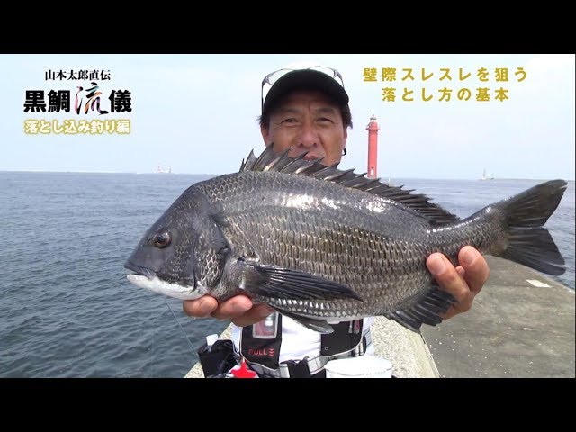 落とし込み チヌ 黒鯛bj85＜2-2＞ 楽天市場】チヌ 落とし込み セットの通販