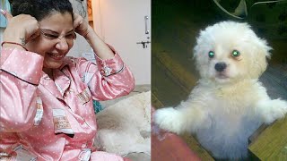 REACTING on my Dogs CHILDHOOD pictures | Ss Vlogs :)