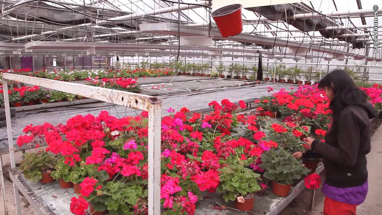École d'Horticulture et de Paysage à Roville-aux-Chênes dans le département des Vosges 88