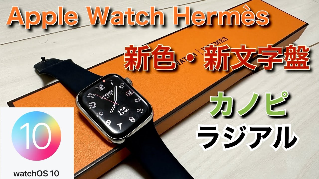 40パターンの文字盤全部見せます！HERMESモデルApple Watch Series 6