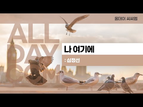 [ALL DAY CCM]나 여기에 (가르쳐 주소서)  / 심정선