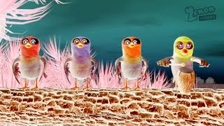 Miss Birdie Gaita 🐦 Intro | Bartolito ( Gamavision Style Remix)