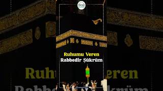 Ruhumu Veren Rabbedir Şükrüm 🤲