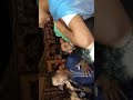 موال الشاب الوردي و العمدة فرخ لحمام العقلة تبسة موال الشاب الوردي و العمدة فرخ لحمام العقلة تبسة