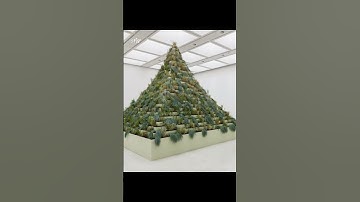 ‘Dear Earth: Art and Hope in a Time of Crisis’ at Hayward Gallery, London | STIRworld.com