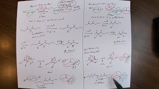 Malonic Ester Synthesis and the Acetoacetic Ester Synthesis