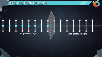16 - Class 12 - Physics - Wave Optics -  Polarisation