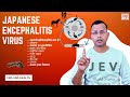 Japanese Encephalitis Virus (JEV) | History, Transmission, AES, symptoms, test and awareness tips