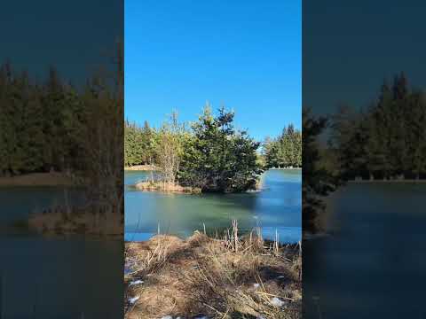 Video: Ali je jezero Otisco prstno jezero?