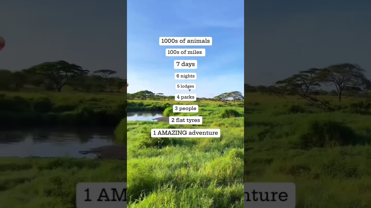 7 Days Win Tanzania Wildlife Safaris 🦁🦏🦓🐗🏔️🐦🐘🐆🦒🐊🦅🐃🐒🐈