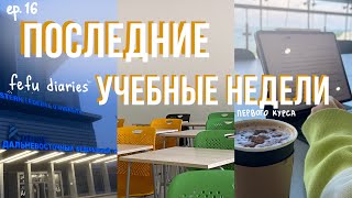 УЧЕБНЫЙ vlog: подготовка к сессии и разговоры / ДВФУ (ep.16)