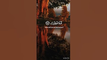 (ثُمَّ نُكِسُواْ عَلَىٰ رُءُوسِهِمْ)سورة الأنبياء للشيخ ياسر الدوسري حفظه الله ورعاه
