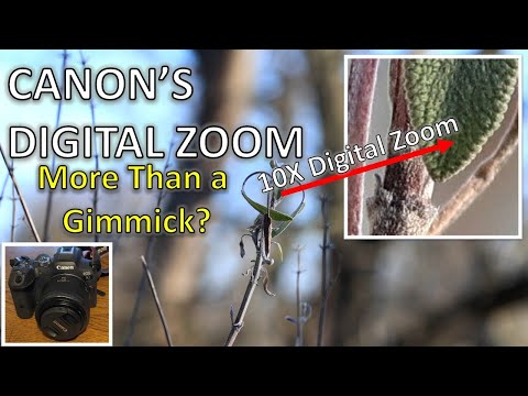 Digital Zoom for (Some) Canon R Series Cameras: A Hidden Gem of a Video Feature!
