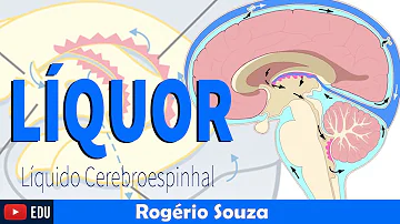 Como ocorre a circulação Liquórica?