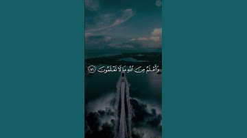 #The_Holy_Quran_Channel#القرآن_الكريم #quran #تلاوات #تلاوة_خاشعة #تلاوة_هادئة