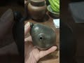 Чёрное яйцо первенца черного исинского дракона🔥