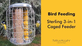 Sterling 3 In 1 Caged Feeder Bird Feeding
