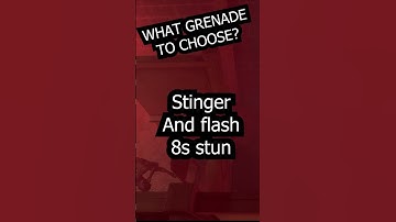 What Type Of Grenade Should You Use In Ready Or Not