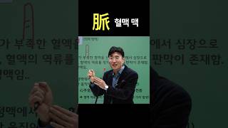 한자공부 한자급수 쉬운 한자를 재밌게 공부법!! 脈 혈맥 맥, 맥 맥