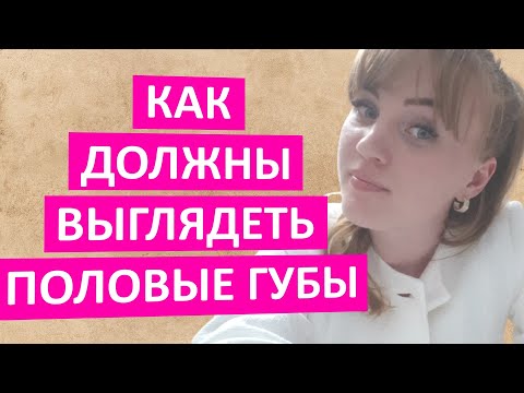 Как должны на самом деле выглядеть здоровые половые губы. Важное о гинекологии от гинеколога.