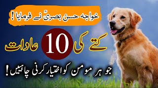 Kutta Ki 10 Adaat Jo Hr Momin Ko Akhteyar Krni Chahiyan | Ten Habits Of Dog | Hassan Basri | Hakayat screenshot 2