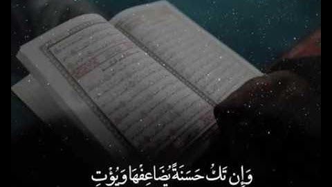 قارئ  (تميم الريمي )سورة النساء آية  (40-42)