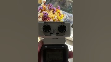 Which One Should You Buy? Zoom H4n Pro, H5 and H6