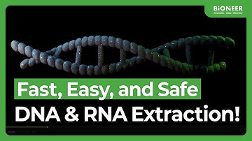 AccuNanoBead™: An Innovative Magnetic Nanobead-Based Nucleic Acid Extraction Solution