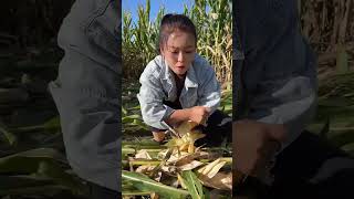 Rural Farmer of first light #12112