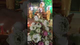 ទិដ្ឋភាពទូទៅក្នុងវត្តទួលក្រសំាងក្នុងពិធីបុណ្យភ្ជុំបិណ្ឌ ឆ្នាំ២០២៤