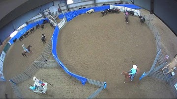 Big Sky Ranch Sorting Saddle Series #4 - YOUTH RANCH HAND - Round #1 - Ride #18