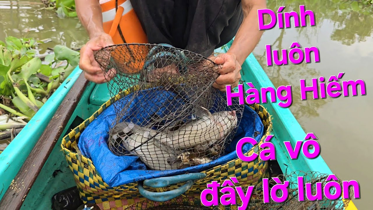 Đổi tay ông NGOẠI Hên Quá, Dính Lía Lịa. Dính Luôn Hàng Hiếm VẠN NGUYỄN Chưa Từng Dính