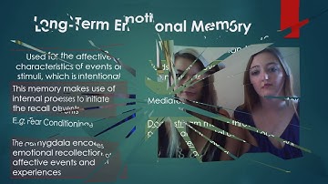 Neuropsychology - Amnesia