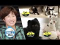 Park Se Ri is living with three dogs [Home Alone Ep 346] の動画、YouTube動画。