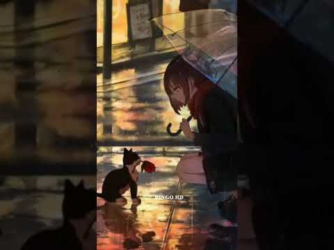 حالات واتس نار يا مالي علي انظري 