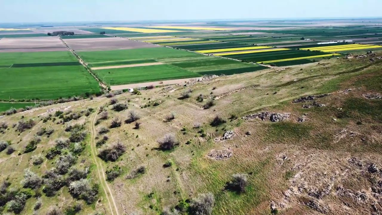 ~ D O B R O G E A ~ G A R V A N ~                    