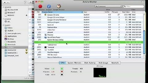 Terminating the Spotlight Process on a Mac : Working on a Mac