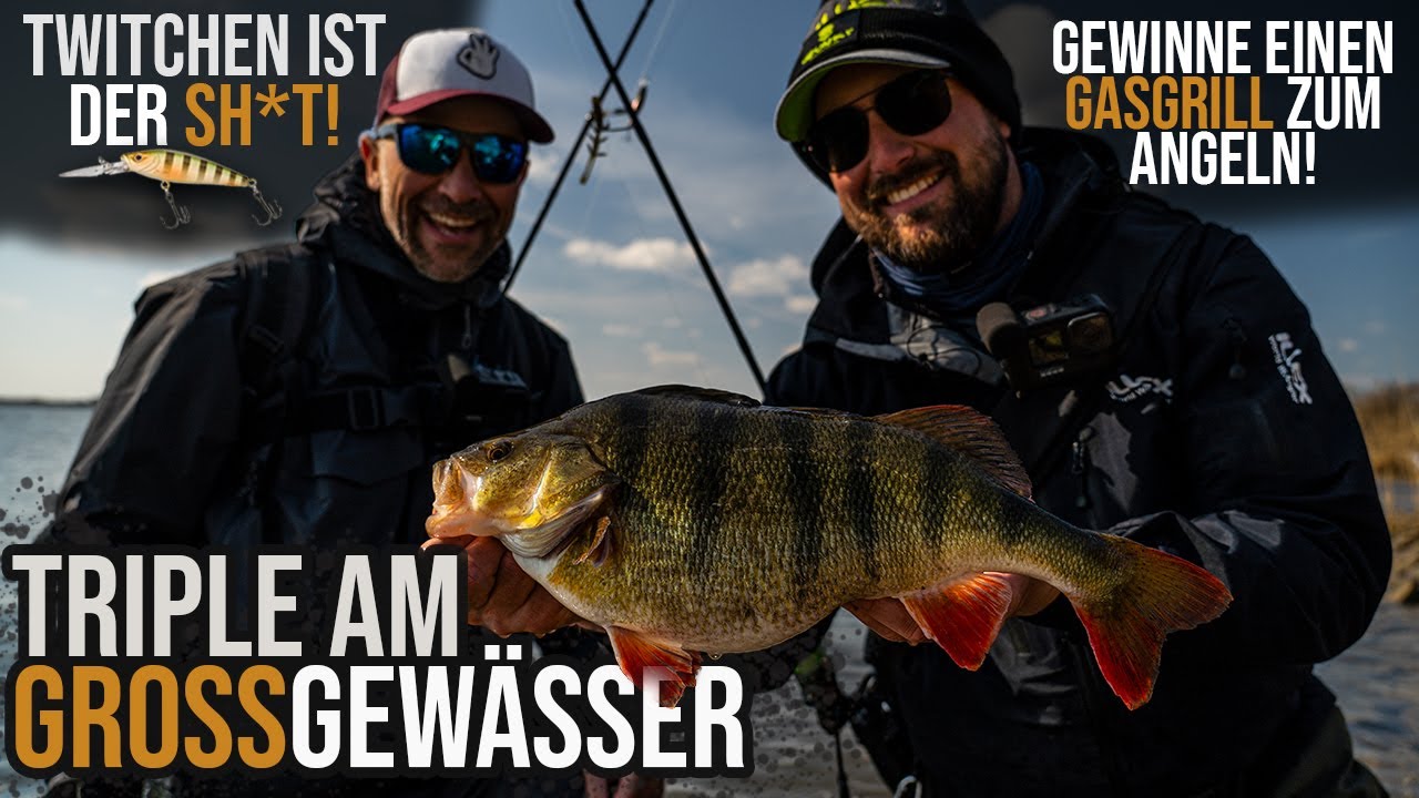 DIESER Köder fängt GROSSE BARSCHE - BARSCHANGELN MIT TWITCHBAIT - Angeln mit MARC PTACOVSKY