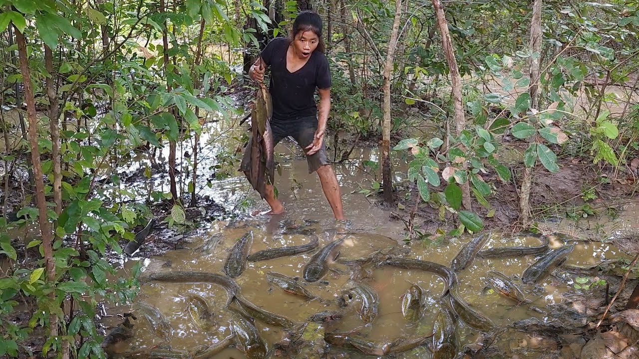 Survival skills: Found a lot fish in flood forest for food- Grilled fish with chili sauce for dinner