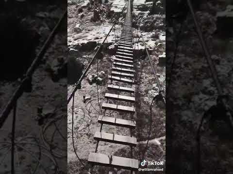 خطواه واثقه مع امل