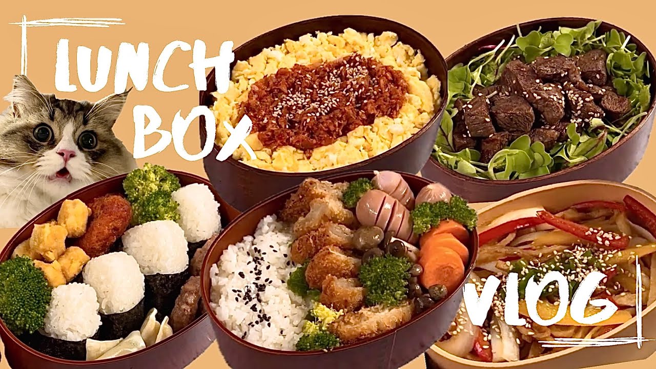 [직장인도시락메뉴 ] ⋆⭒˚｡⋆ 출근 하기는 싫은데 도시락은 빨리 까먹고싶은 직장인의 요리브이로그🍳   스테이크덮밥, 오니기리김밥, 참치김치비빔밥, 돈까스도시락,어묵볶음덮밥🍛