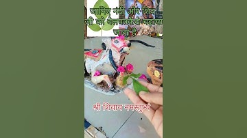 नंदी और शिवजी को बेलपत्र कैसे चढ़ाएं #pradeepmishra #प्रदीपमिश्राजीकेटोटके #सीहोरवाले #बेलपत्र उपाय